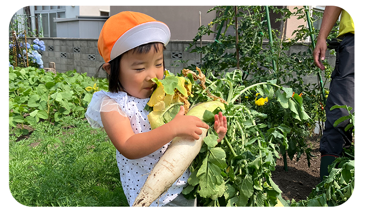 スライドショー