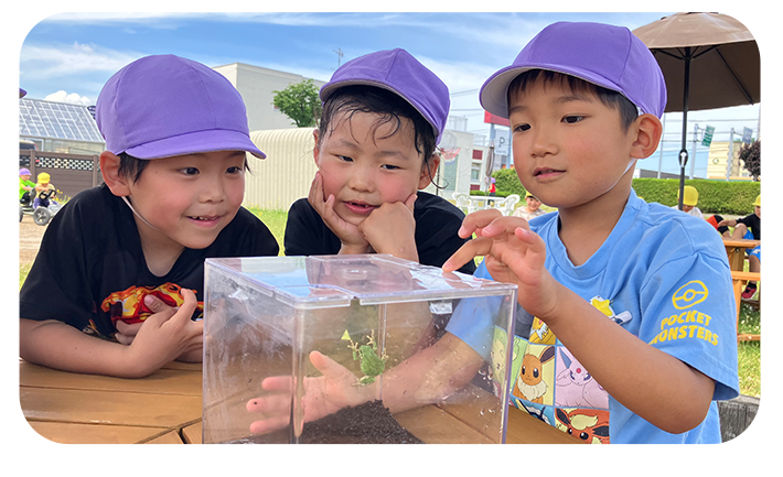 スライドショー